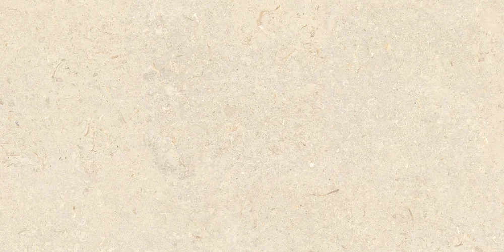 60 X 120 X 0,7 SG CLAM SHELL BONE 1.