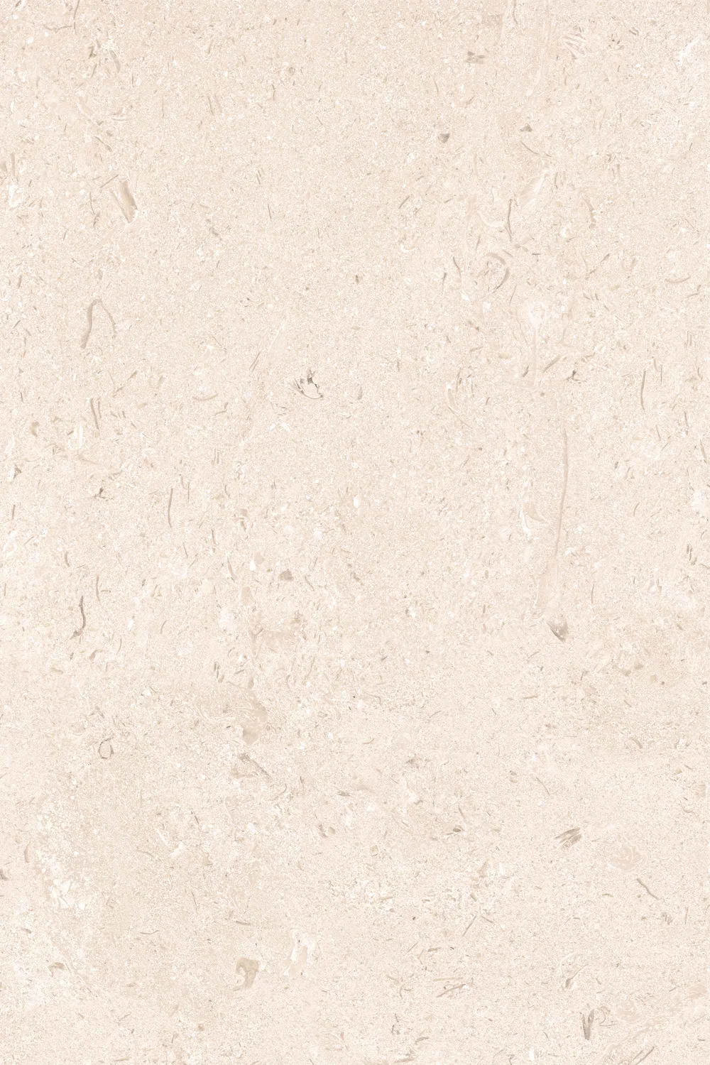 60 X 90 X 2 SG SHELLSTONE 1.