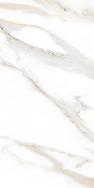 120 X 180 SG GAIOS FULL LAP 1.