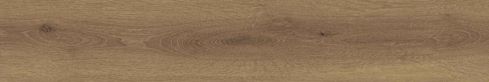 20 X 120 SG WESTERN HONEY 1.