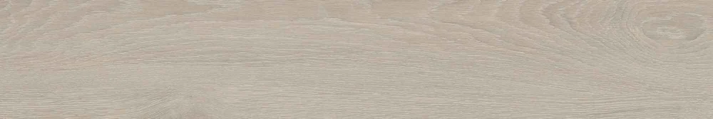 20 X 120 X 0,7 SG PRESTIGE MIELE REC 1.